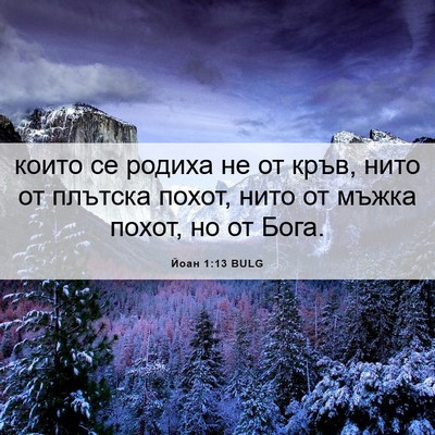 Picture 06 - Йоан 1:13 BULG - които се родиха не от кръв, - Bible Verse Picture