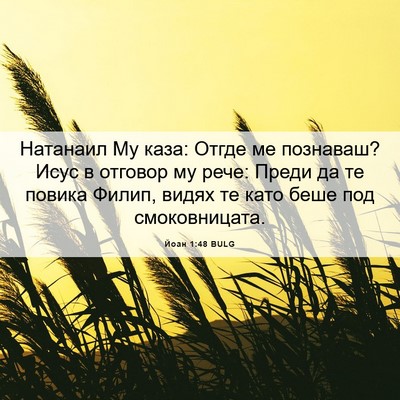 Picture 06 - Йоан 1:48 BULG - Натанаил Му каза: Отгде ме - Bible Verse Picture