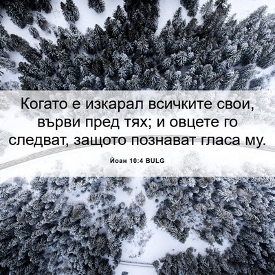 Picture 06 - Йоан 10:4 BULG - Когато е изкарал всичките - Bible Verse Picture