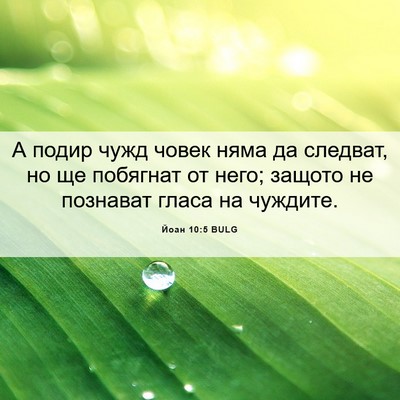 Picture 06 - Йоан 10:5 BULG - А подир чужд човек няма да - Bible Verse Picture