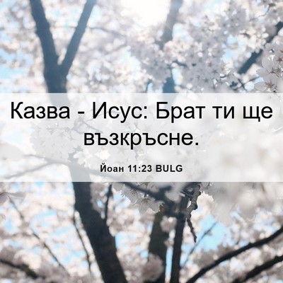 Picture 06 - Йоан 11:23 BULG - Казва - Исус: Брат ти ще - Bible Verse Picture
