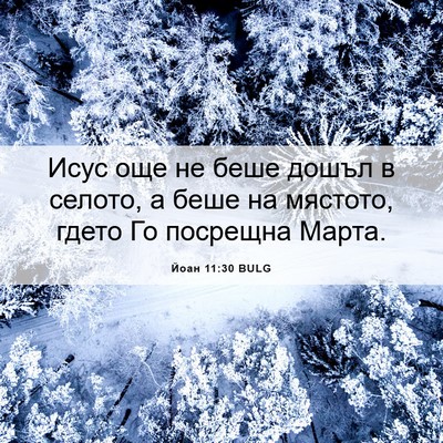 Picture 06 - Йоан 11:30 BULG - Исус още не беше дошъл в - Bible Verse Picture