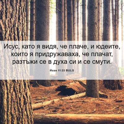 Picture 06 - Йоан 11:33 BULG - Исус, като я видя, че плаче, - Bible Verse Picture