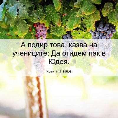 Picture 06 - Йоан 11:7 BULG - А подир това, казва на - Bible Verse Picture
