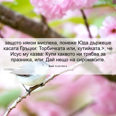 Picture 06 - Йоан 13:29 BULG - защото някои мислеха, - Bible Verse Picture