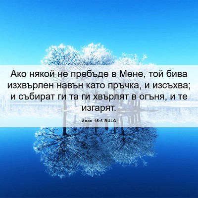 Picture 06 - Йоан 15:6 BULG - Ако някой не пребъде в - Bible Verse Picture