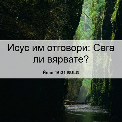 Picture 06 - Йоан 16:31 BULG - Исус им отговори: Сега ли - Bible Verse Picture