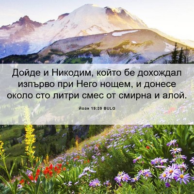 Picture 06 - Йоан 19:39 BULG - Дойде и Никодим, който бе - Bible Verse Picture