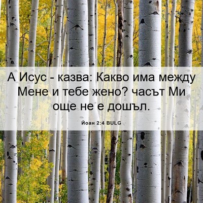 Picture 06 - Йоан 2:4 BULG - А Исус - казва: Какво има - Bible Verse Picture