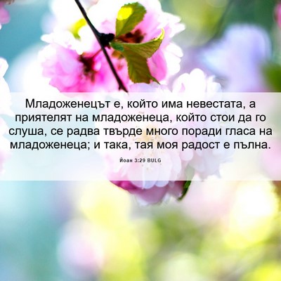 Picture 06 - Йоан 3:29 BULG - Младоженецът е, който има - Bible Verse Picture