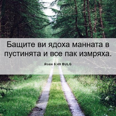 Picture 06 - Йоан 6:49 BULG - Бащите ви ядоха манната в - Bible Verse Picture