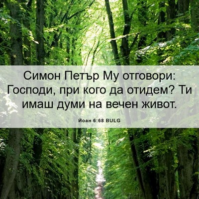 Picture 06 - Йоан 6:68 BULG - Симон Петър Му отговори: - Bible Verse Picture