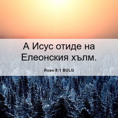 Picture 06 - Йоан 8:1 BULG - А Исус отиде на Елеонския - Bible Verse Picture