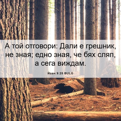 Picture 06 - Йоан 9:25 BULG - А той отговори: Дали е - Bible Verse Picture