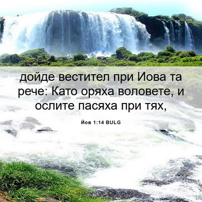 Picture 06 - Йов 1:14 BULG - дойде вестител при Иова та - Bible Verse Picture