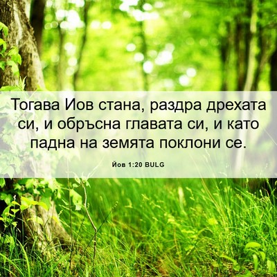 Picture 06 - Йов 1:20 BULG - Тогава Иов стана, раздра - Bible Verse Picture
