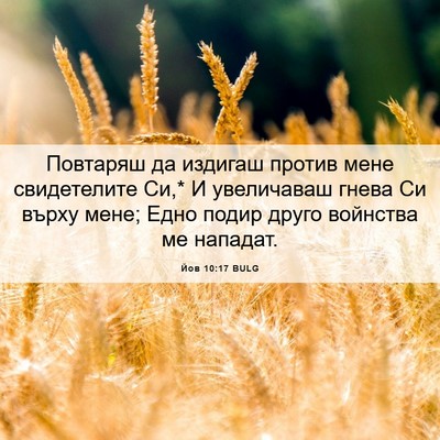 Picture 06 - Йов 10:17 BULG - Повтаряш да издигаш против - Bible Verse Picture