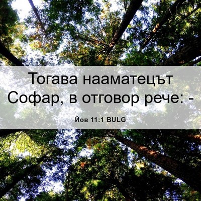 Picture 06 - Йов 11:1 BULG - Тогава нааматецът Софар, в - Bible Verse Picture
