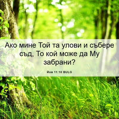 Picture 06 - Йов 11:10 BULG - Ако мине Той та улови и - Bible Verse Picture