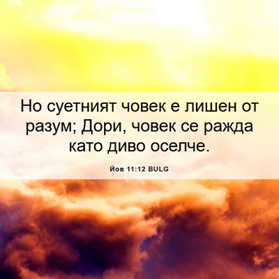 Picture 06 - Йов 11:12 BULG - Но суетният човек е лишен - Bible Verse Picture