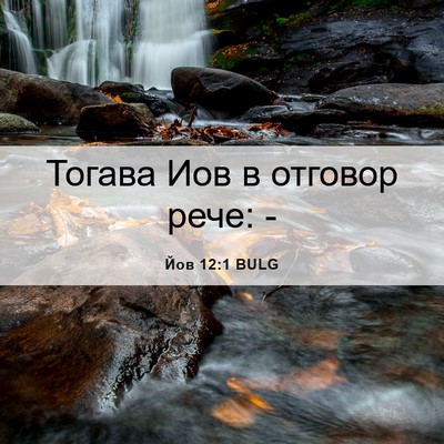 Picture 06 - Йов 12:1 BULG - Тогава Иов в отговор рече: - Bible Verse Picture