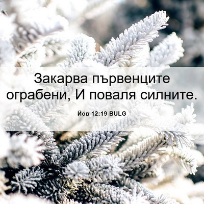 Picture 06 - Йов 12:19 BULG - Закарва първенците - Bible Verse Picture