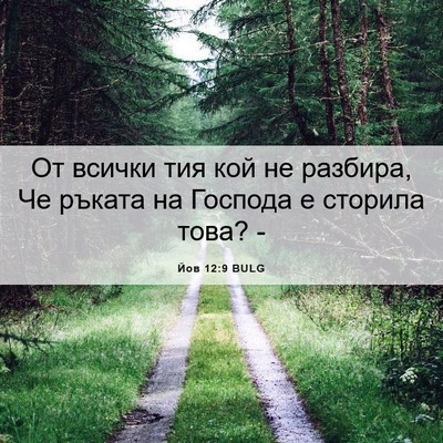 Picture 06 - Йов 12:9 BULG - От всички тия кой не - Bible Verse Picture
