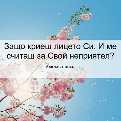 Picture 06 - Йов 13:24 BULG - Защо криеш лицето Си, И ме - Bible Verse Picture