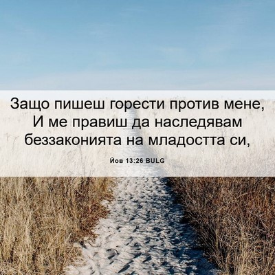 Picture 06 - Йов 13:26 BULG - Защо пишеш горести против - Bible Verse Picture