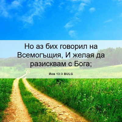 Picture 06 - Йов 13:3 BULG - Но аз бих говорил на - Bible Verse Picture