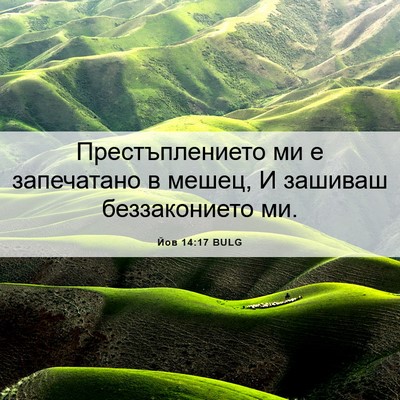 Picture 06 - Йов 14:17 BULG - Престъплението ми е - Bible Verse Picture