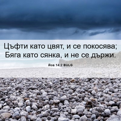 Picture 06 - Йов 14:2 BULG - Цъфти като цвят, и се - Bible Verse Picture