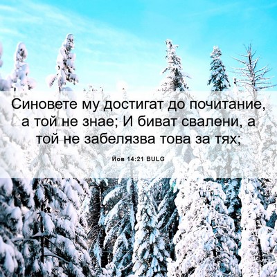 Picture 06 - Йов 14:21 BULG - Синовете му достигат до - Bible Verse Picture