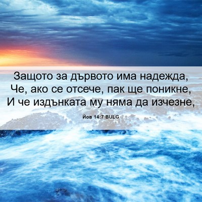 Picture 06 - Йов 14:7 BULG - Защото за дървото има - Bible Verse Picture