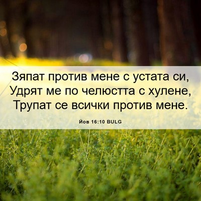Picture 06 - Йов 16:10 BULG - Зяпат против мене с устата - Bible Verse Picture