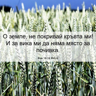 Picture 06 - Йов 16:18 BULG - О земле, не покривай кръвта - Bible Verse Picture