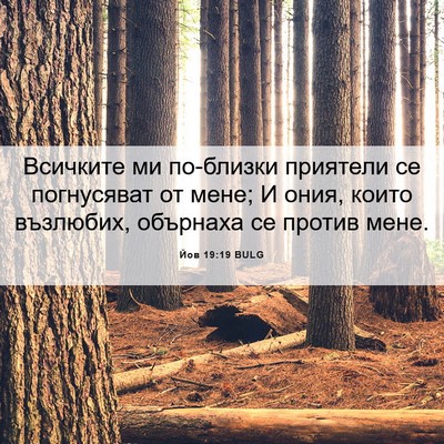 Picture 06 - Йов 19:19 BULG - Всичките ми по-близки - Bible Verse Picture