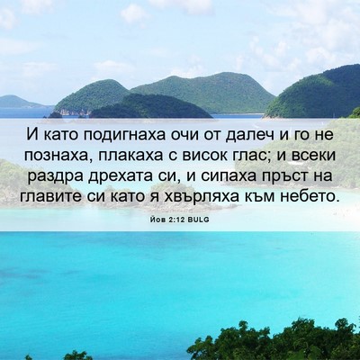 Picture 06 - Йов 2:12 BULG - И като подигнаха очи от - Bible Verse Picture