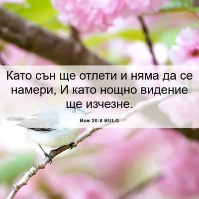 Picture 06 - Йов 20:8 BULG - Като сън ще отлети и няма - Bible Verse Picture
