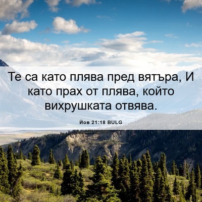 Picture 06 - Йов 21:18 BULG - Те са като плява пред - Bible Verse Picture