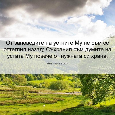 Picture 06 - Йов 23:12 BULG - От заповедите на устните - Bible Verse Picture