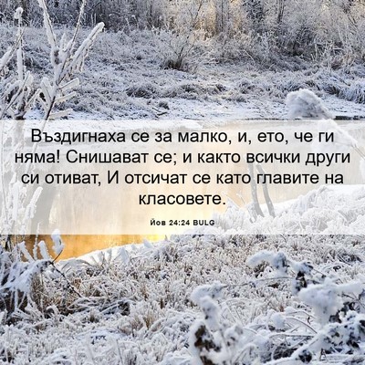 Picture 06 - Йов 24:24 BULG - Въздигнаха се за малко, и, - Bible Verse Picture