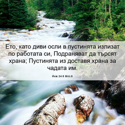 Picture 06 - Йов 24:5 BULG - Ето, като диви осли в - Bible Verse Picture