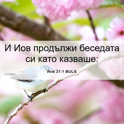 Picture 06 - Йов 27:1 BULG - И Иов продължи беседата си - Bible Verse Picture