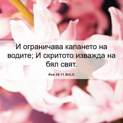 Picture 06 - Йов 28:11 BULG - И ограничава капането на - Bible Verse Picture