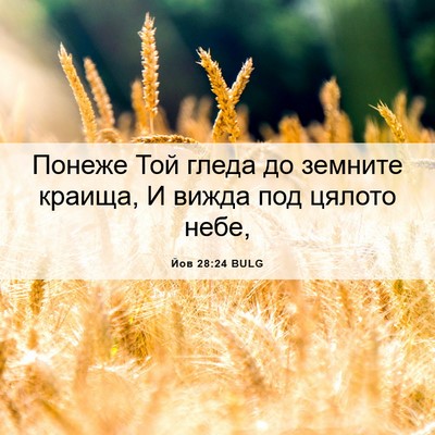 Picture 06 - Йов 28:24 BULG - Понеже Той гледа до - Bible Verse Picture