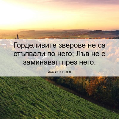 Picture 06 - Йов 28:8 BULG - Горделивите зверове не са - Bible Verse Picture