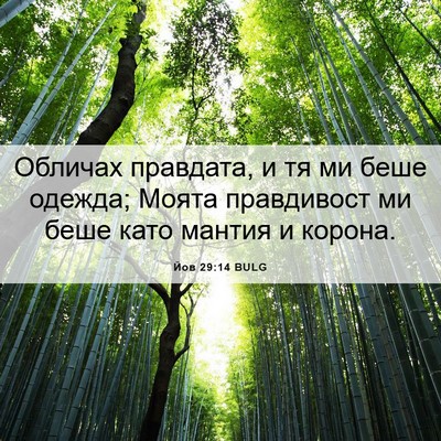 Picture 06 - Йов 29:14 BULG - Обличах правдата, и тя ми - Bible Verse Picture