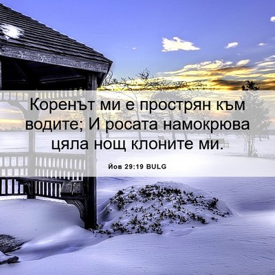 Picture 06 - Йов 29:19 BULG - Коренът ми е прострян към - Bible Verse Picture