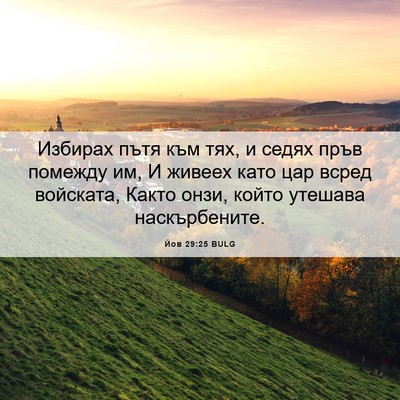 Picture 06 - Йов 29:25 BULG - Избирах пътя към тях, и - Bible Verse Picture